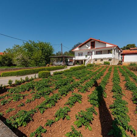 Floyd Apartment Bibinje Exterior foto