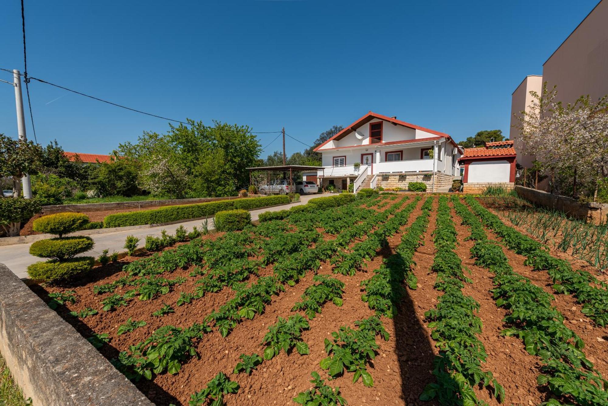 Floyd Apartment Bibinje Exterior foto